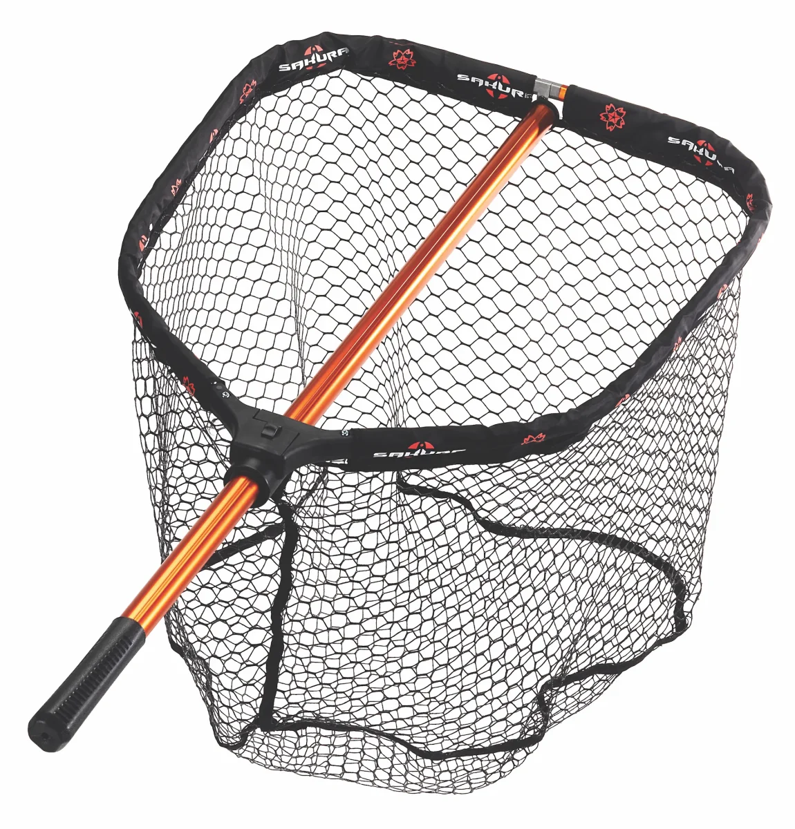 EPUISETTE PLIANTE – Image 2