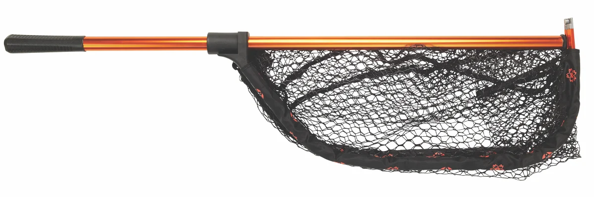 EPUISETTE PLIANTE – Image 3